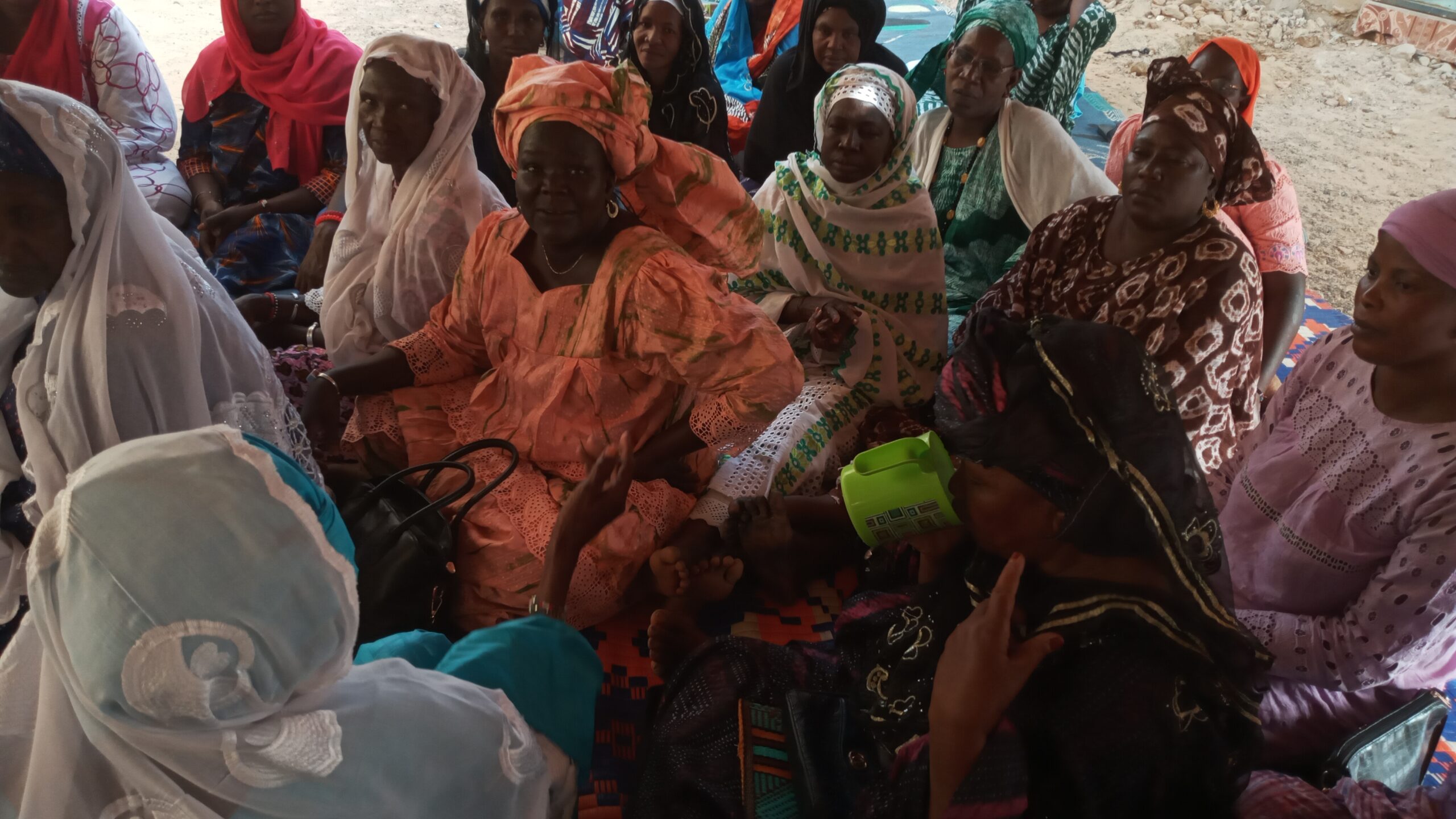 Boghé : La nouvelle  association des femmes de Boghé et ses environnants : « fédé rewbe boggee e ko taridum » 